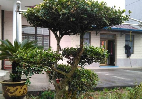 技術(shù)支持